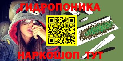дурь Можга