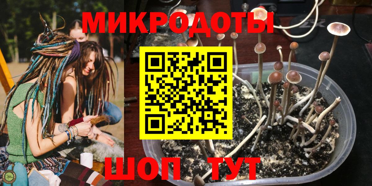 Галлюциногенные грибы Cubensis Обь