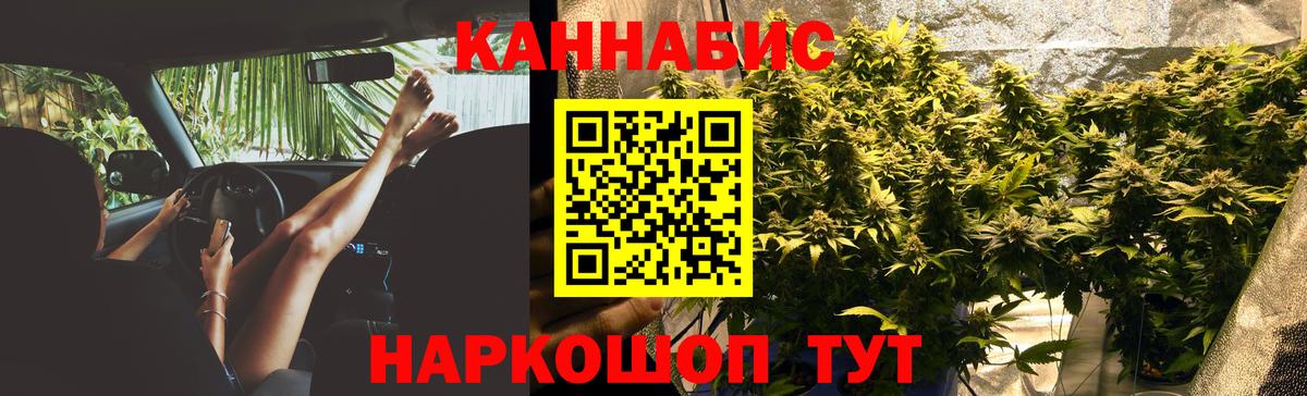 Шишки марихуана SATIVA & INDICA  МАРИХУАНА планчик  Бошки марихуана конопля  Обь  Вход с VPN 